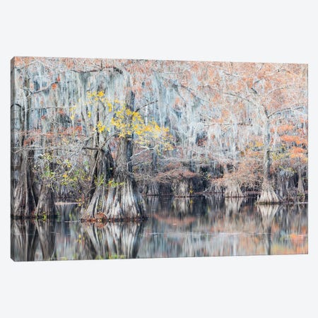 Autumn In The Swamps Canvas Print #MBT1} by Mauro Battistelli Art Print