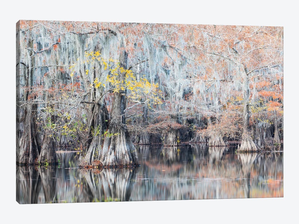 Autumn In The Swamps by Mauro Battistelli 1-piece Canvas Wall Art