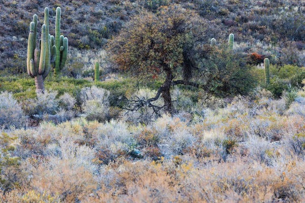 Mauro Battistelli: Autumn's Colors by Mauro Battistelli