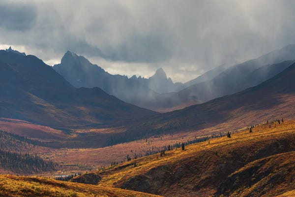 Mauro Battistelli: The Rain by Mauro Battistelli