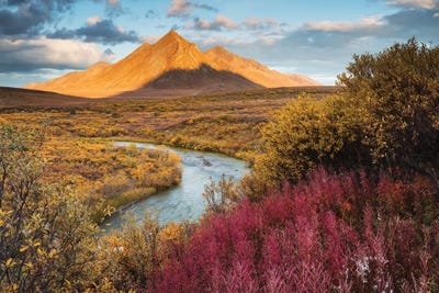 Angel Combe by Mauro Battistelli canvas print