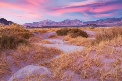 Aliens by Mauro Battistelli gallery poster