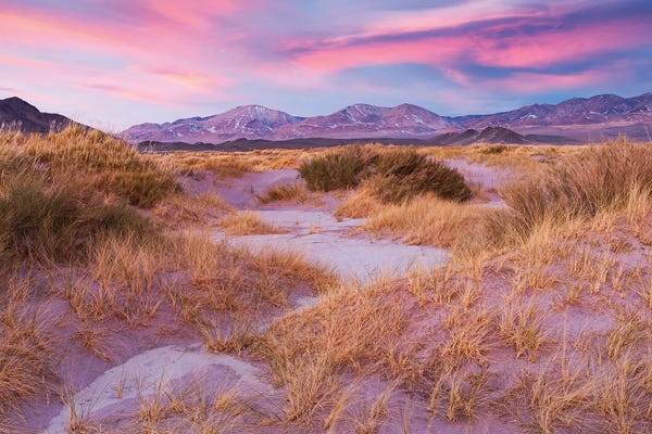 Mauro Battistelli: Aliens by Mauro Battistelli