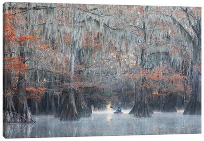 The Adventurer Canvas Art Print - Marsh & Swamp Art
