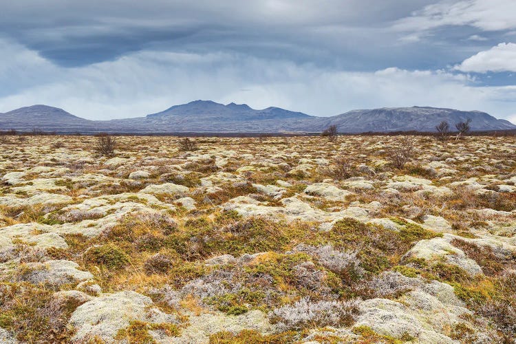 Iceland Weather