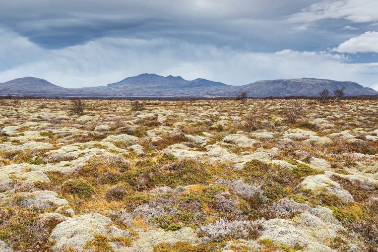 Iceland Weather by Mauro Battistelli wall art
