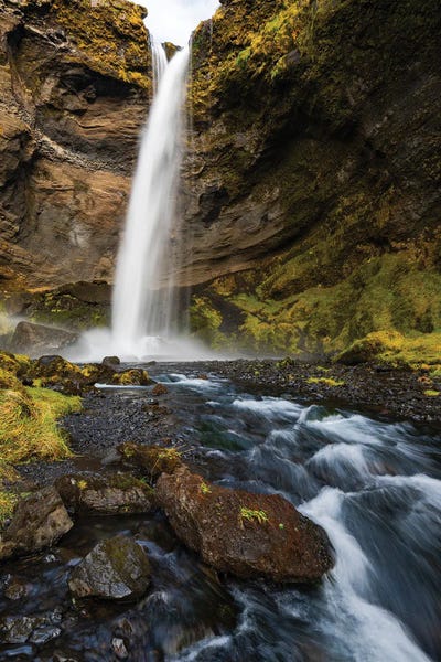 Hidden Beauty by Mauro Battistelli gallery poster