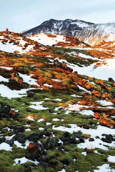 Mauro Battistelli: Last Rays by Mauro Battistelli