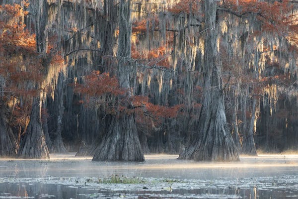 Mauro Battistelli: The Touch by Mauro Battistelli