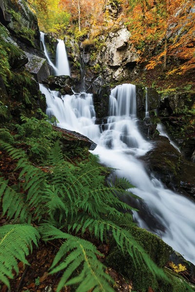 Discover by Mauro Battistelli gallery poster