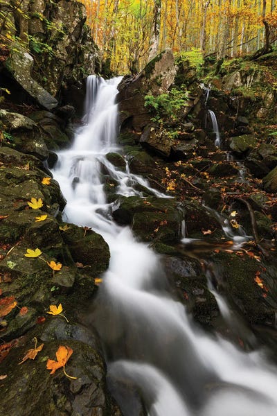 Mauro Battistelli: Autumn Waterfall by Mauro Battistelli