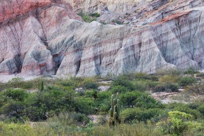 Nature Lovers by Mauro Battistelli gallery poster