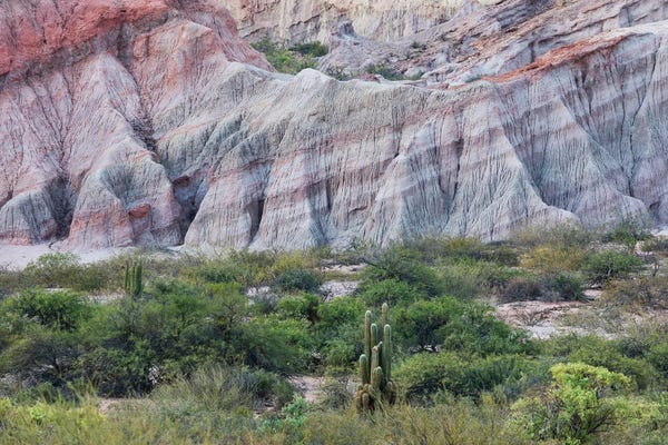 Mauro Battistelli: Nature Lovers by Mauro Battistelli