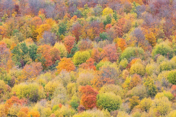 Mauro Battistelli: Color Mix by Mauro Battistelli