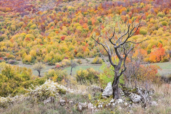 Mauro Battistelli: Standing by Mauro Battistelli