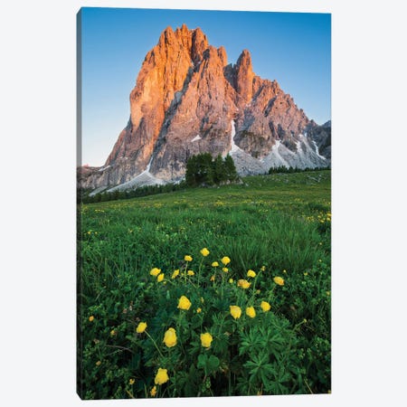 Blooming In The Dolomites Canvas Print #MBT93} by Mauro Battistelli Canvas Artwork