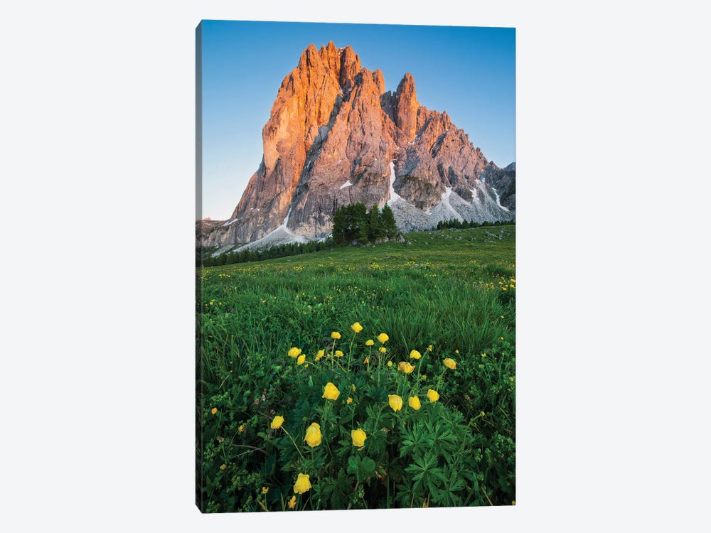 Blooming In The Dolomites by Mauro Battistelli 1-piece Canvas Print