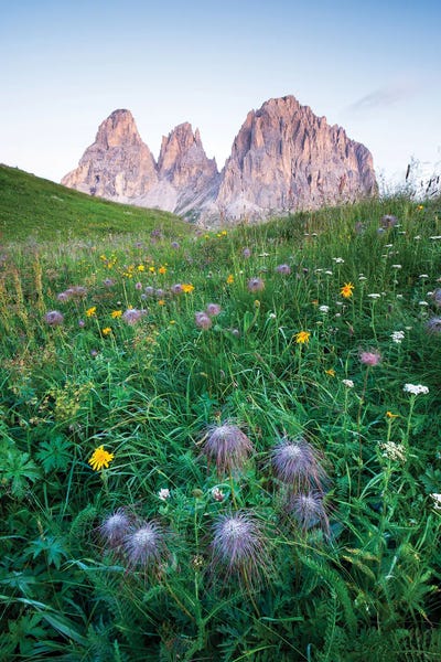 Nature Lover: Passo Sella by Mauro Battistelli