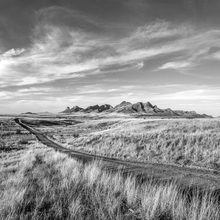 Vanishing Ranchlands No. 23