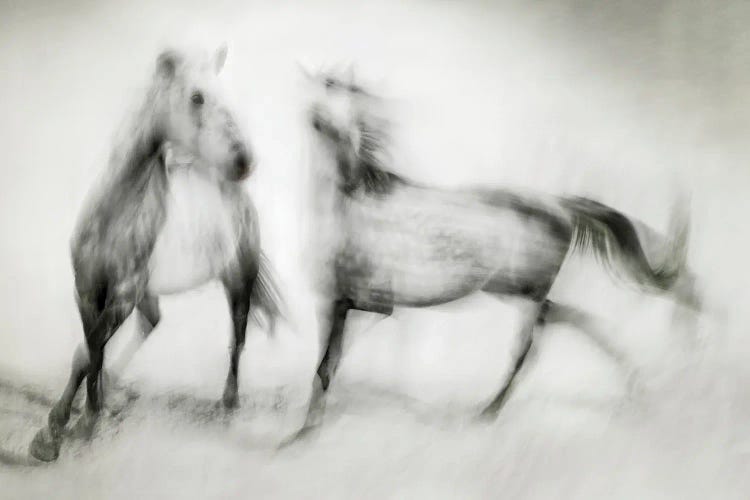 Shivers by Martine Benezech wall art