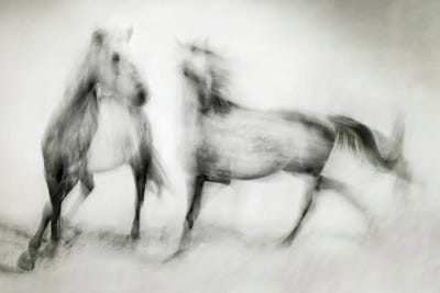 Martine Benezech
