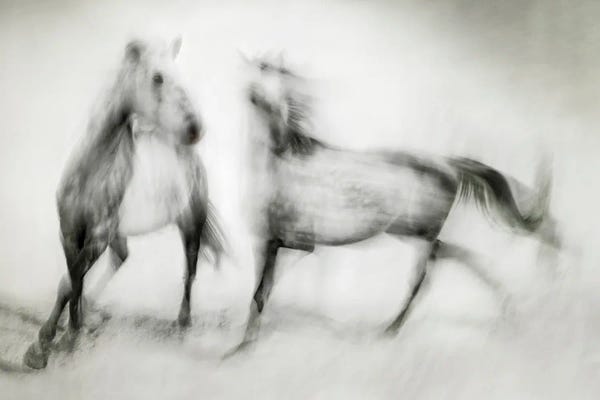 Martine Benezech