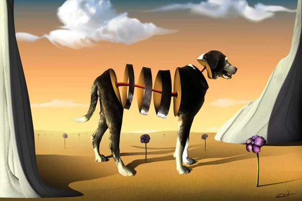 St. Bernards: Drina by Marcel Caram