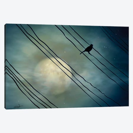 Pássaro ao Luar (Bird Moonlight) Canvas Print #MCA23} by Marcel Caram Art Print