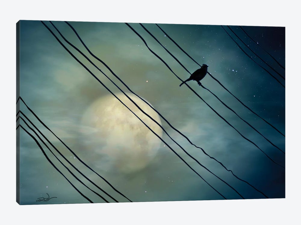 Pássaro ao Luar (Bird Moonlight) by Marcel Caram 1-piece Canvas Print
