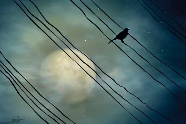 Similar To Salvador Dali: Pássaro ao Luar (Bird Moonlight) by Marcel Caram