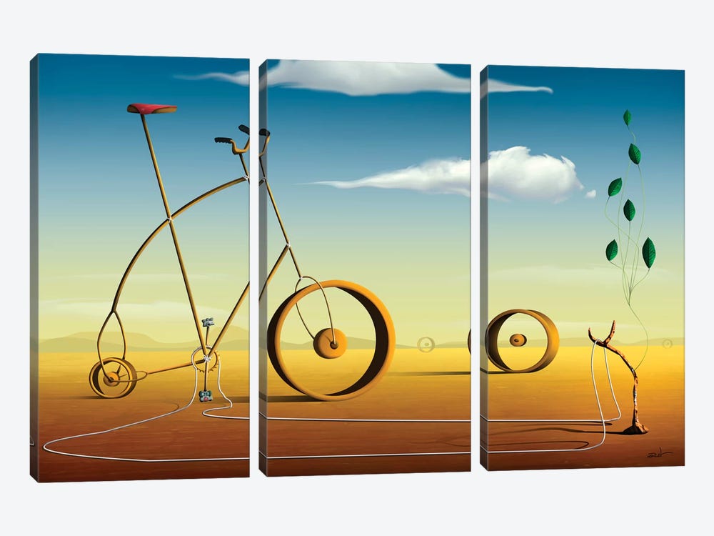 A Bicicleta (The Bicycle) by Marcel Caram 3-piece Art Print