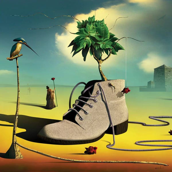 Boots: A Bota (The Boot) by Marcel Caram