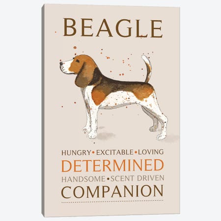 Beagle Canvas Print #MCE11} by Michelle Campbell Canvas Art