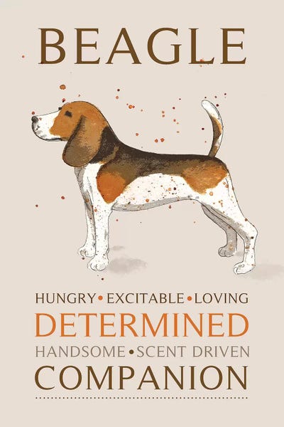 Michelle Campbell: Beagle by Michelle Campbell