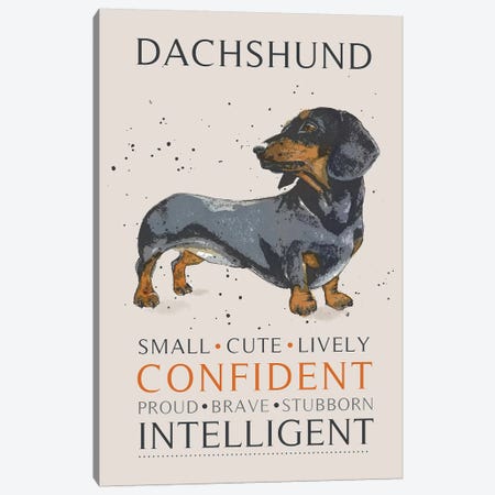 Dachshund Canvas Print #MCE12} by Michelle Campbell Canvas Wall Art