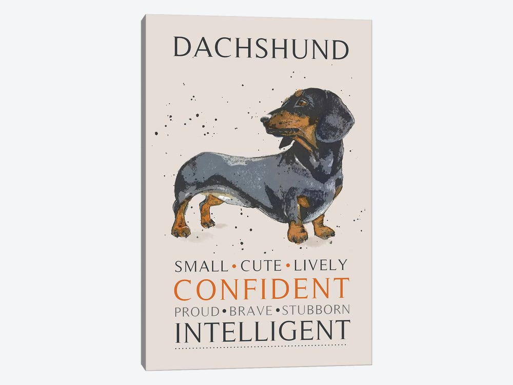 Dachshund by Michelle Campbell 1-piece Canvas Wall Art