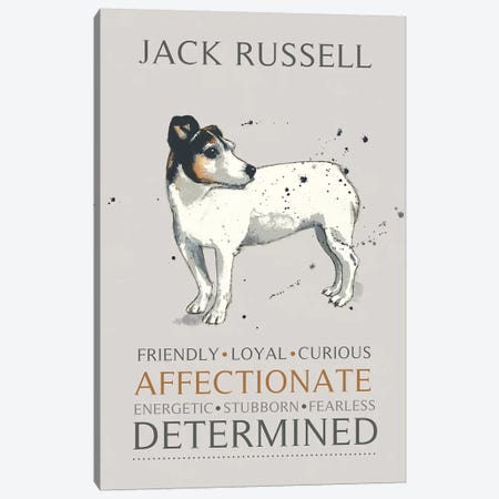 Jack Russell Canvas Print #MCE13} by Michelle Campbell Canvas Art