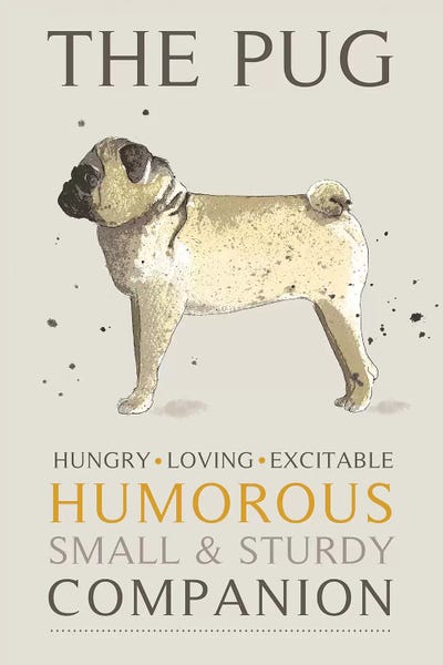 Pug by Michelle Campbell metal wall art