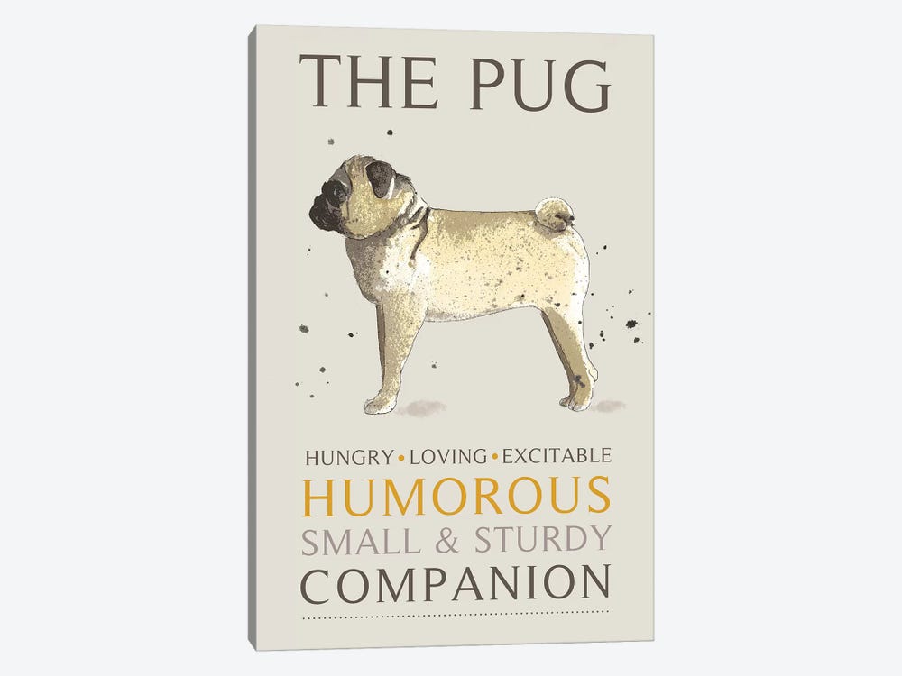 Pug by Michelle Campbell 1-piece Canvas Wall Art