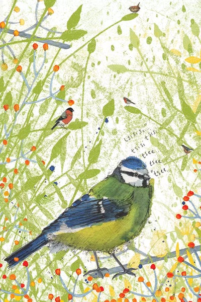 Michelle Campbell: Blue Tit by Michelle Campbell