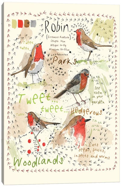 Birds In Your Garden - Robin Canvas Art Print - Michelle Campbell