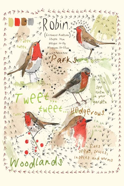 Michelle Campbell: Birds In Your Garden - Robin by Michelle Campbell