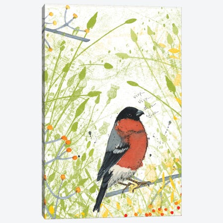 Bullfinch Canvas Print #MCE20} by Michelle Campbell Art Print