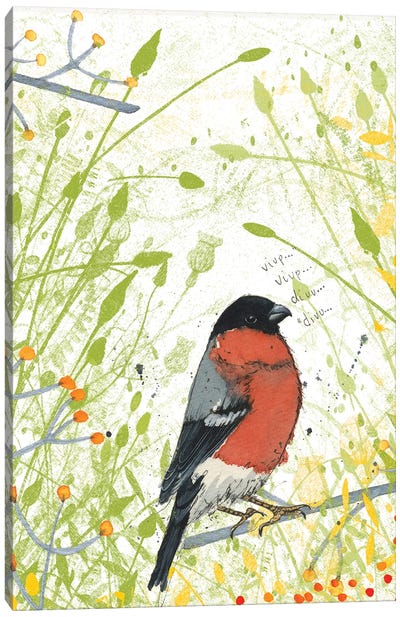 Bullfinch Canvas Art Print - Michelle Campbell