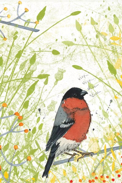 Michelle Campbell: Bullfinch by Michelle Campbell