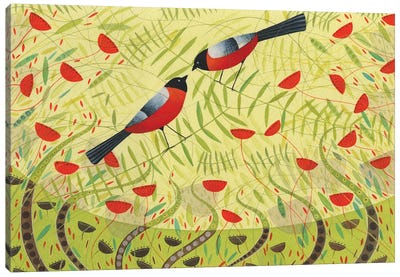 Bullfinches Canvas Art Print - Michelle Campbell