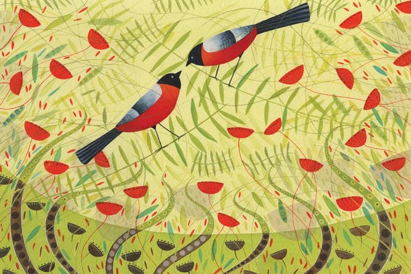 Michelle Campbell: Bullfinches by Michelle Campbell