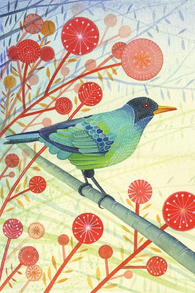 Michelle Campbell: Green Honeycreeper by Michelle Campbell