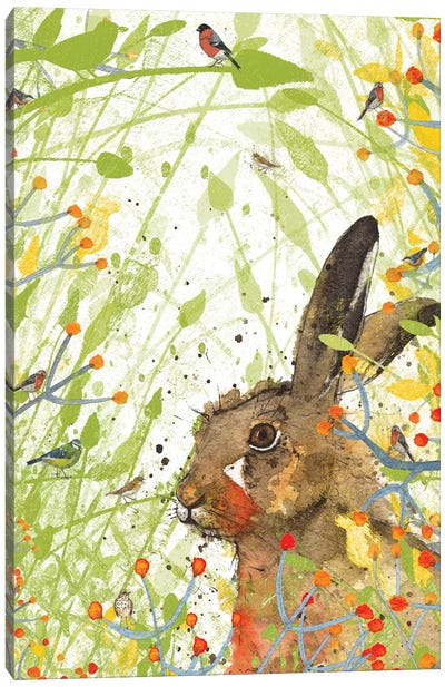 Hare (Birdsong) Canvas Art Print - Michelle Campbell
