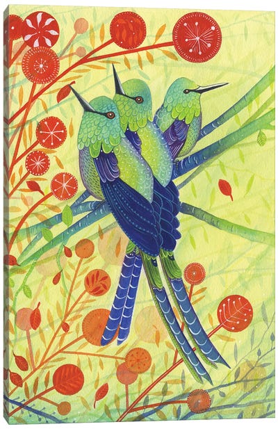 Hummingbirds Canvas Art Print - Michelle Campbell